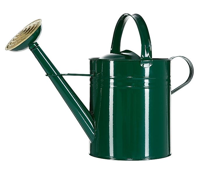 Dehner Blumentopf Gießkanne, 9 l, 48 x 37 x 21 cm, Zink, grün, für effektiv günstig online kaufen