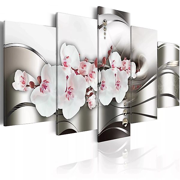 Wandbild - The beauty of orchids günstig online kaufen