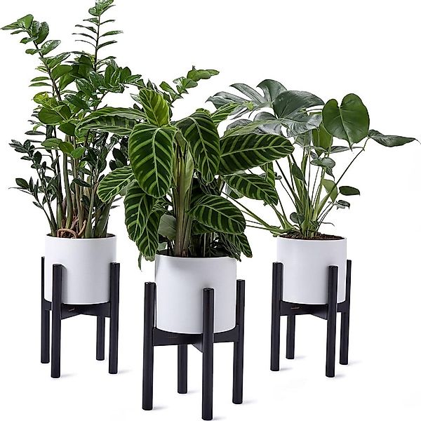 Lumaland Blumenständer (3 St), aus Bambus günstig online kaufen