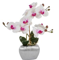 Kunstpflanze Orchidee, Home affaire, Höhe 38 günstig online kaufen