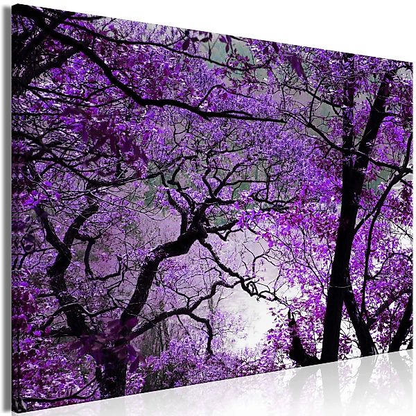 Wandbild - Purple Afternoon (1 Part) Wide günstig online kaufen