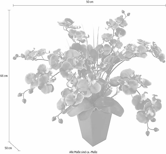 Kunstpflanze Phalaenopsis im Topf, I.GE.A., Höhe günstig online kaufen