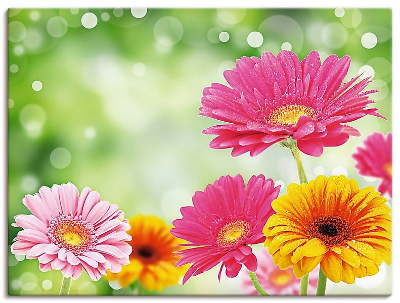 Artland Wandbild Natürliche Romantik - Gerberas, günstig online kaufen