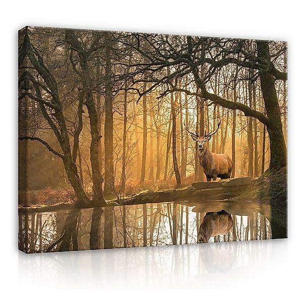 Wallarena Leinwandbild Wald Hirsch Tiere Natur Beige Wandbild XXL Leinwandb günstig online kaufen