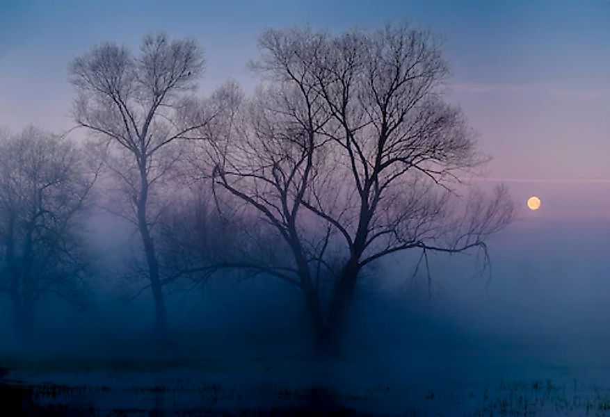 Papermoon Fototapete »Photo-Art ANDREAS AGAZZI, EIN WEITERER NEUER TAG« günstig online kaufen