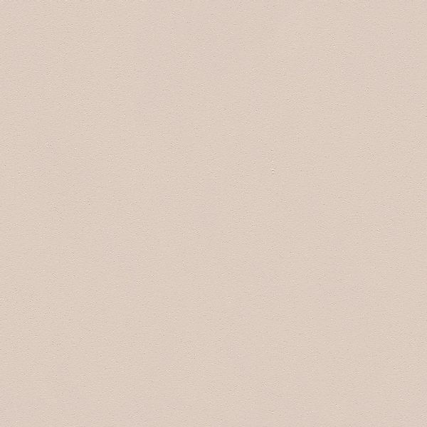 PROFHOME 309150-GU Ton-in-Ton Tapete Uni Matt Beige 0,53 m x 10,05 m 5,33 m günstig online kaufen
