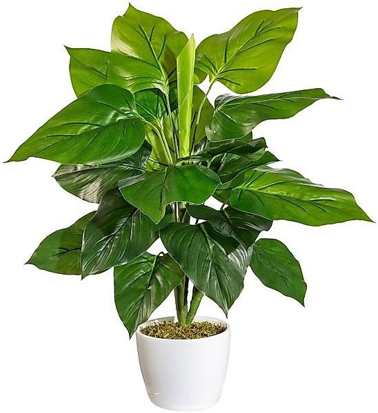 Künstliche Zimmerpflanze Jarla Philodendron, andas, Höhe 50 cm, im Keramikt günstig online kaufen