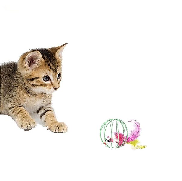 HomeBella Tier-Beschäftigungsspielzeug Katzenspielzeug Maus mit Feder und G günstig online kaufen