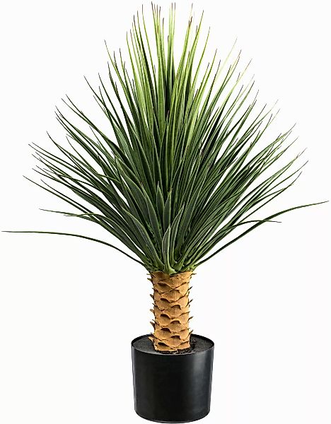 Kunstpflanze Yucca Rostrata auf Stamm Yucca, günstig online kaufen