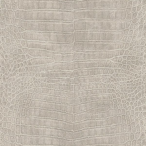 Rasch Vliestapete African Queen III Krokodil Hellgrau 10,05 x 0,53 m günstig online kaufen