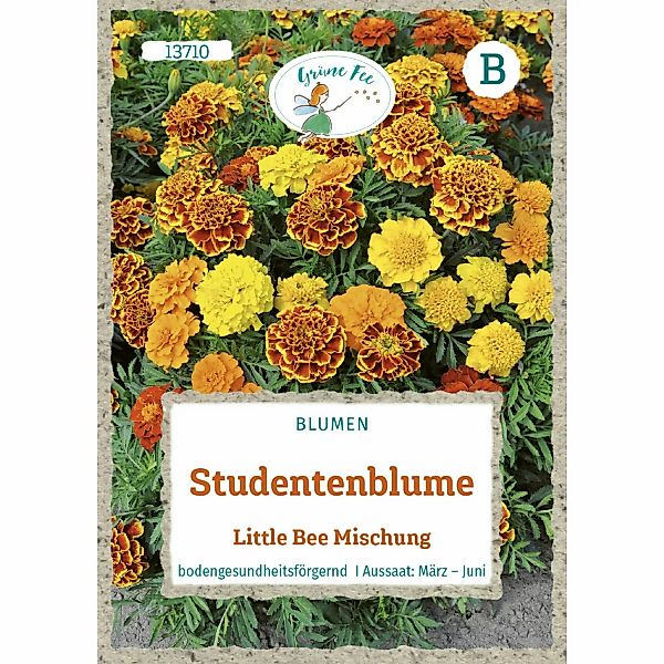 Grüne Fee Studentenblume Little Bee Mischung Saatgut günstig online kaufen