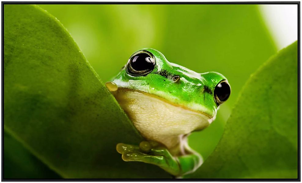 Papermoon Infrarotheizung »Frosch auf Blatt«, sehr angenehme Strahlungswärm günstig online kaufen