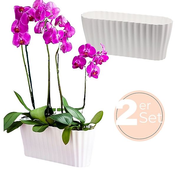 GarPet Blumentopf 2er Set Orchideentopf Kunstoff Elegant Orchideen Über Pfl günstig online kaufen