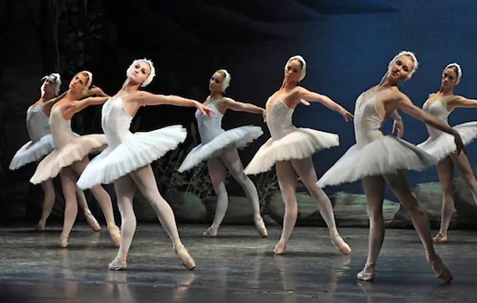 Papermoon Fototapete »Ballette« günstig online kaufen