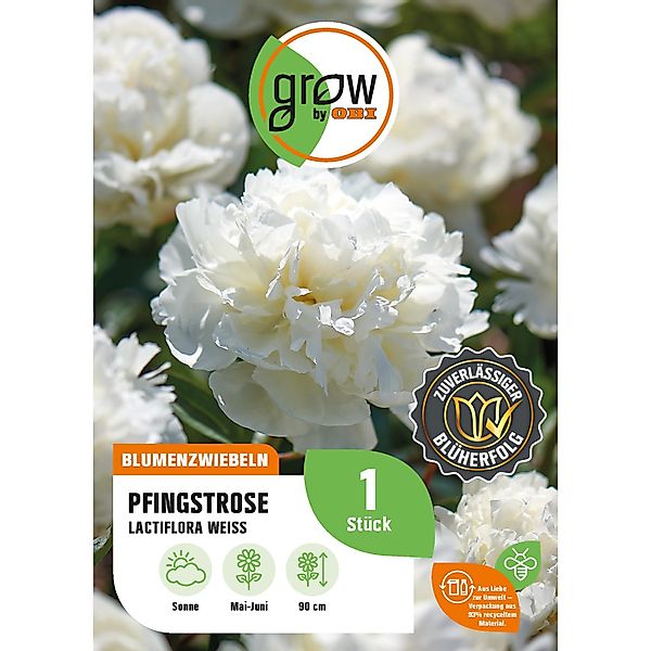 GROW by OBI Pfingstrose Lactiflora Weiss Höhe ca. 80 cm Paeonia lactiflora günstig online kaufen