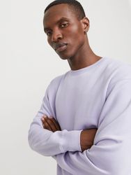 Jack & Jones Sweatshirt "JJESTAR BASIC SWEAT CREW NECK NOOS" mit Rundhalsau günstig online kaufen