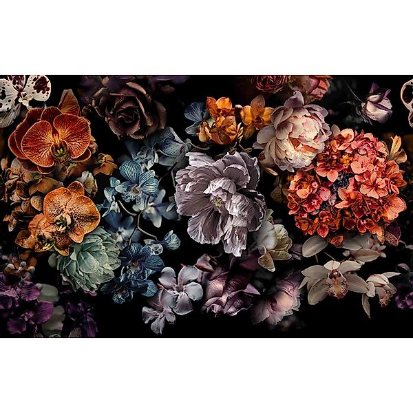 Marburg Fototapete Floral Modern Schwarz-Blau FSC® günstig online kaufen