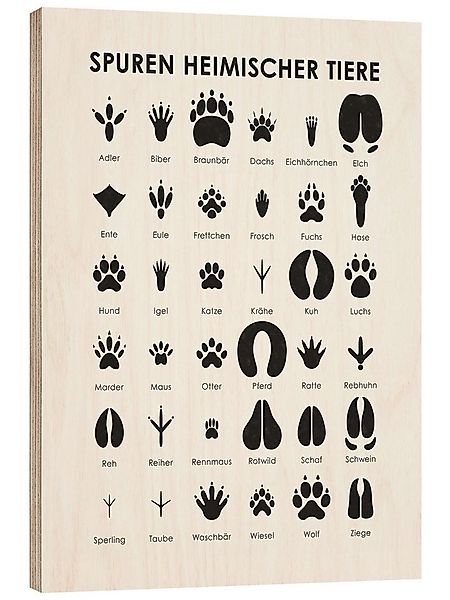 Posterlounge Wandbild Spuren heimischer Tiere I, Iris Luckhaus, erhältlich günstig online kaufen