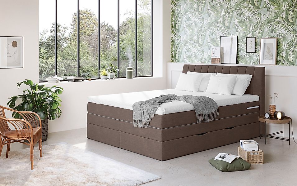COTTA Boxspringbett »Shark inkl. Bettkasten und Topper« erhältlich in den B günstig online kaufen