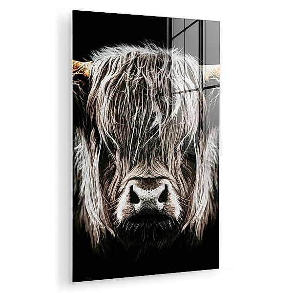 MuchoWow Acrylglasbild Schottischer Highlander - Gold günstig online kaufen