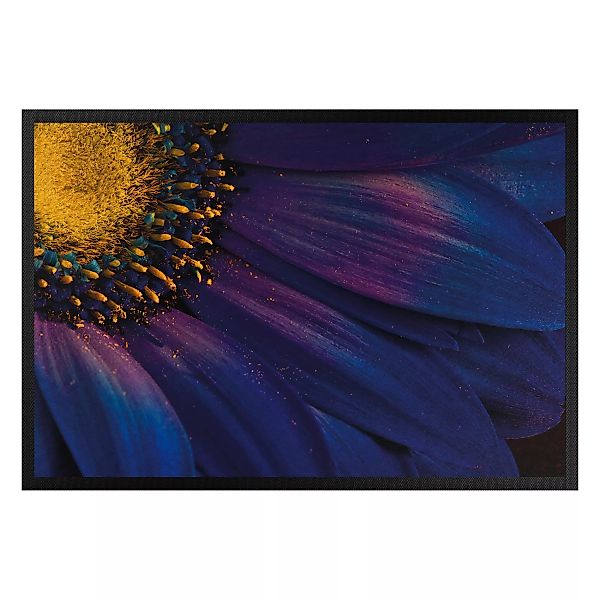 Fußmatte Blumen Blaue Gerberablüte günstig online kaufen