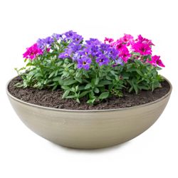 matches21 HOME & HOBBY Blumentopf Runde günstig online kaufen