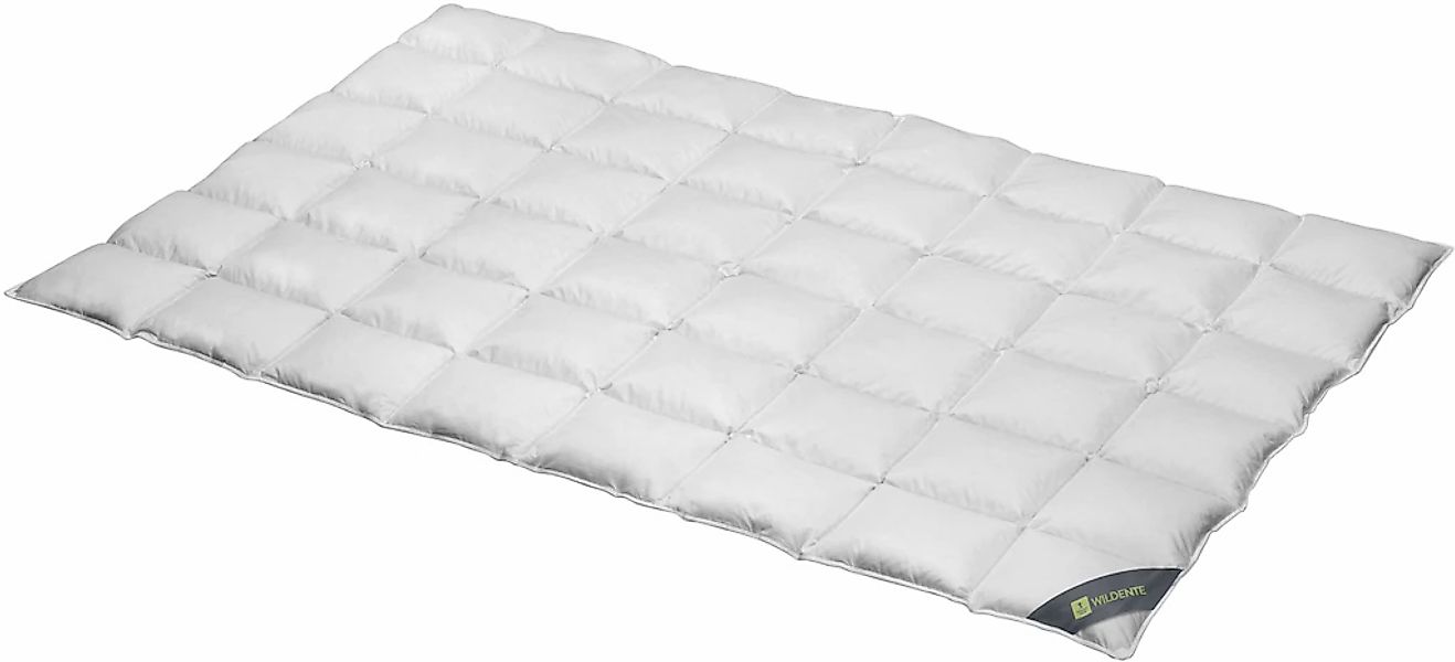 SPESSARTTRAUM Daunenbettdecke "Wildente Bettdecken 135x200cm & weitere Größ günstig online kaufen