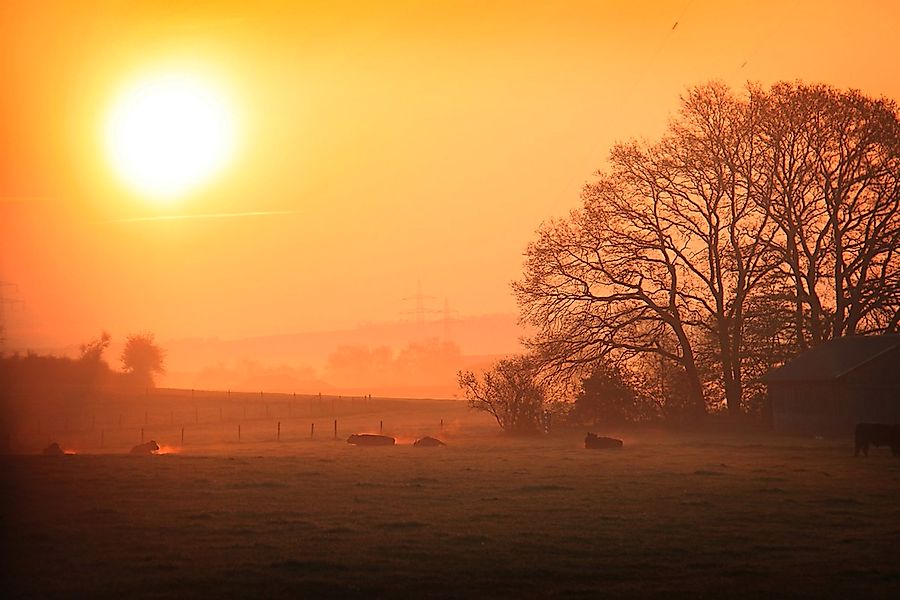 Papermoon Fototapete "Sonniger nebliger Sonnenaufgang" günstig online kaufen