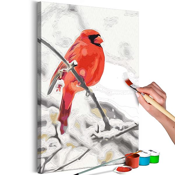 Malen Nach Zahlen - Red Bird günstig online kaufen