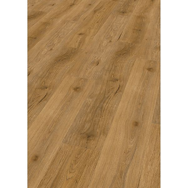 Check Click-Vinylboden Comfort Seva Eiche günstig online kaufen
