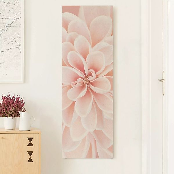 Leinwandbild auf Canvas Natural Dahlie in Pastellrosa günstig online kaufen