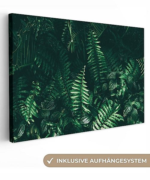 OneMillionCanvasses® Leinwandbild Blätter - Dschungel - Natur - Tropisch - günstig online kaufen
