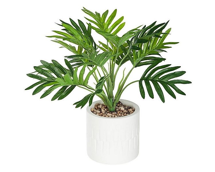 Kunstpflanze Kunstpalme ETNIK Zimmerpflanze, Atmosphera Créateur d'intérieu günstig online kaufen