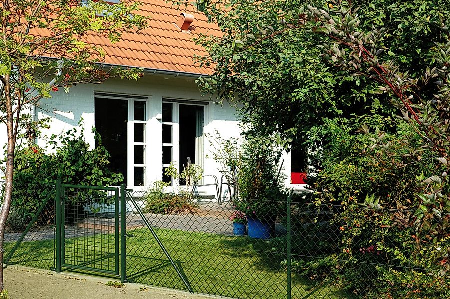 Alberts Maschendrahtzaun, (Set), Höhe: 80 - günstig online kaufen