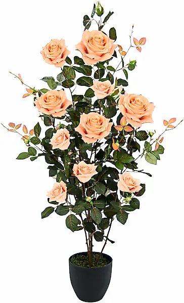I.GE.A. Kunstbaum "Rosenbusch im Topf" Kunstrosen Kunstpflanzen Rosenstrauc günstig online kaufen