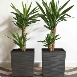 Siena Garden Pflanzgefäß Modern Biron Graphit 25x25x26 ,0cm günstig online kaufen