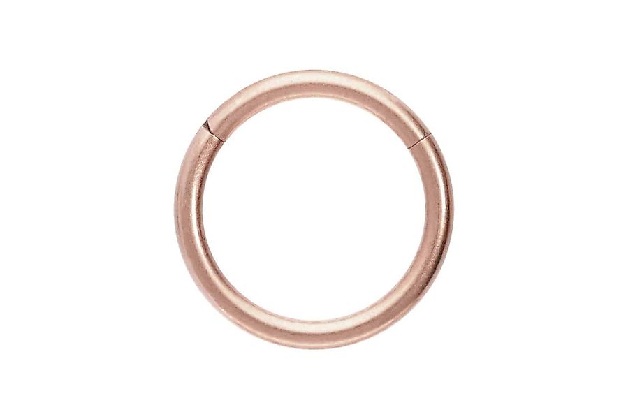 PIERCINGLINE Nasenpiercing Titan Segmentring Clicker MATT günstig online kaufen