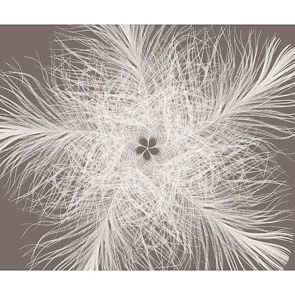 Komar Fototapete Vlies Federstern  300 x 250 cm günstig online kaufen