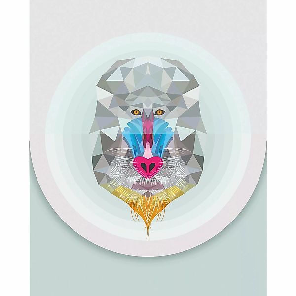 Komar Bild "Baboon", Tiere, (1 St.), Wandbild zur Dekoration - ohne Rahmen günstig online kaufen
