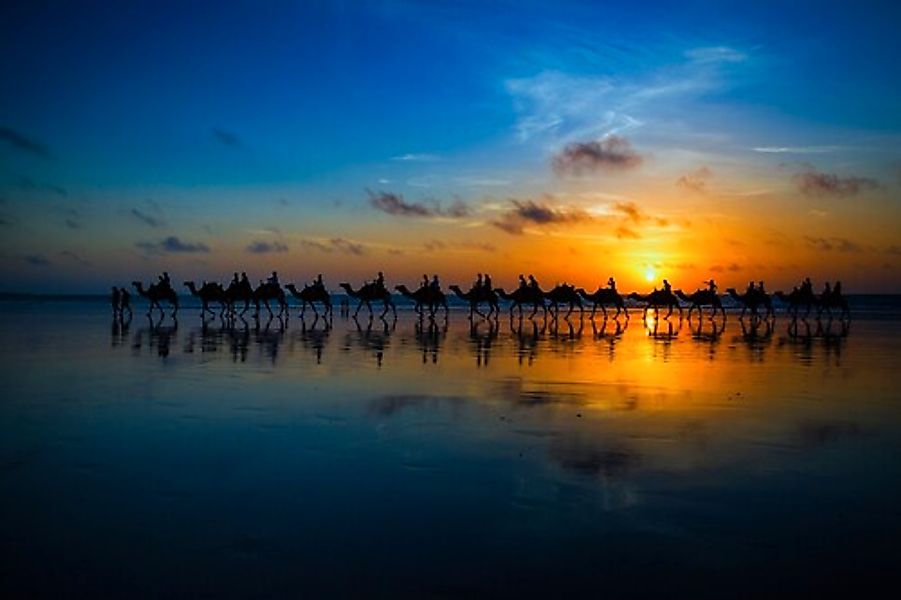 Papermoon Fototapete »Photo-Art LOUISE WOLBERS, SUNSET CAMEL RIDE« günstig online kaufen