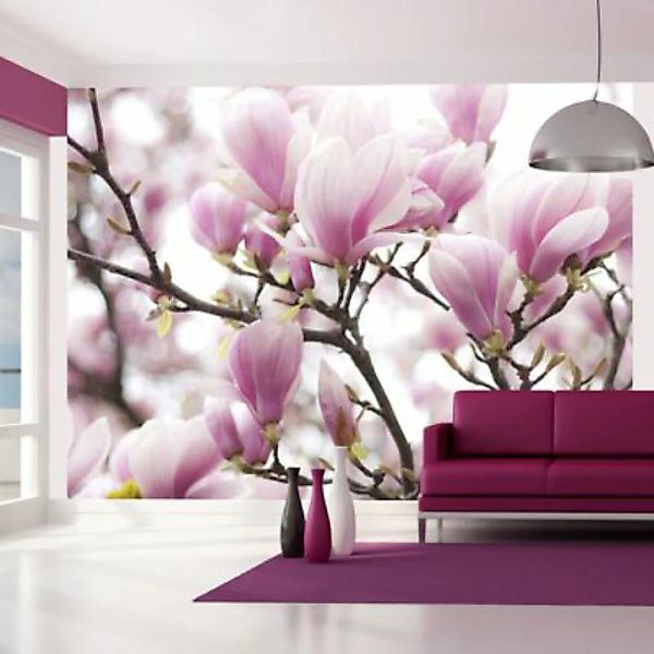 artgeist Fototapete Blühender Magnolienzweig rosa/weiß Gr. 350 x 270 günstig online kaufen