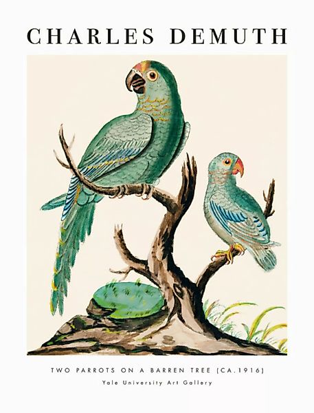 Poster / Leinwandbild - Charles Demuth: Two Parrots On a Barren Tree günstig online kaufen