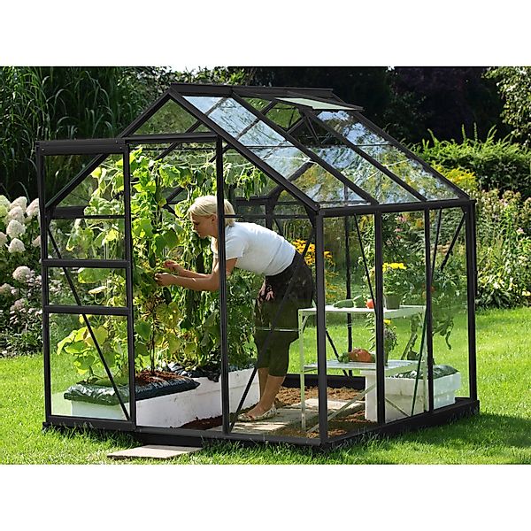Vitavia Gewächshaus Venus 3800 Schwarz 3,8 m² günstig online kaufen