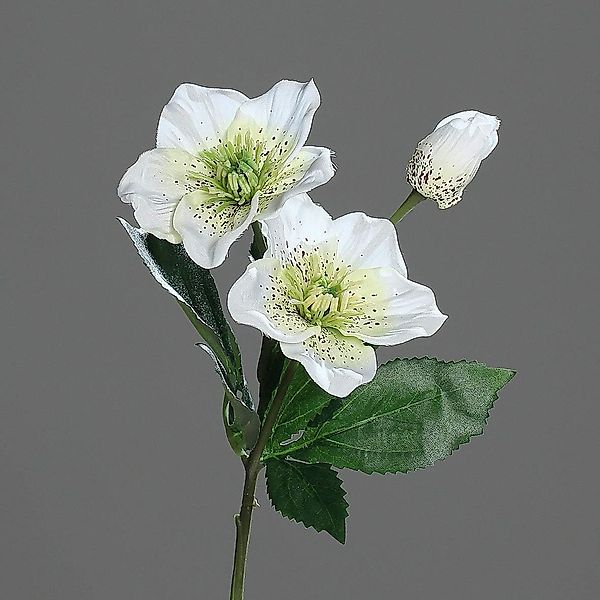 Kunstpflanze Künstliche Christrose Creme/Weiß Kunstblumen Künstliche günstig online kaufen