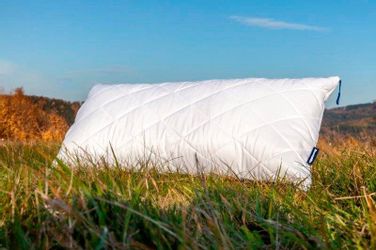 Dunlopillo Microfaserkissen "Home, Kissen ist Allergikerfreundlich, weich u günstig online kaufen