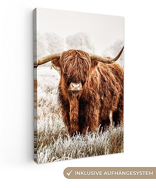 OneMillionCanvasses® Leinwandbild Schottischer Hochländer - Kuh - Natur - W günstig online kaufen