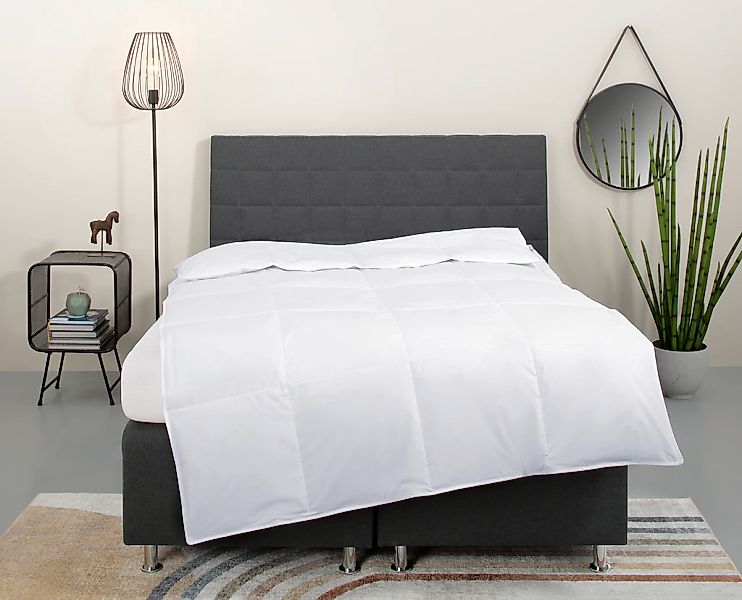 OTTO home Daunenbettdecke "Cyra, Bettdecke 135x200 cm, 155x220 cm" leicht F günstig online kaufen