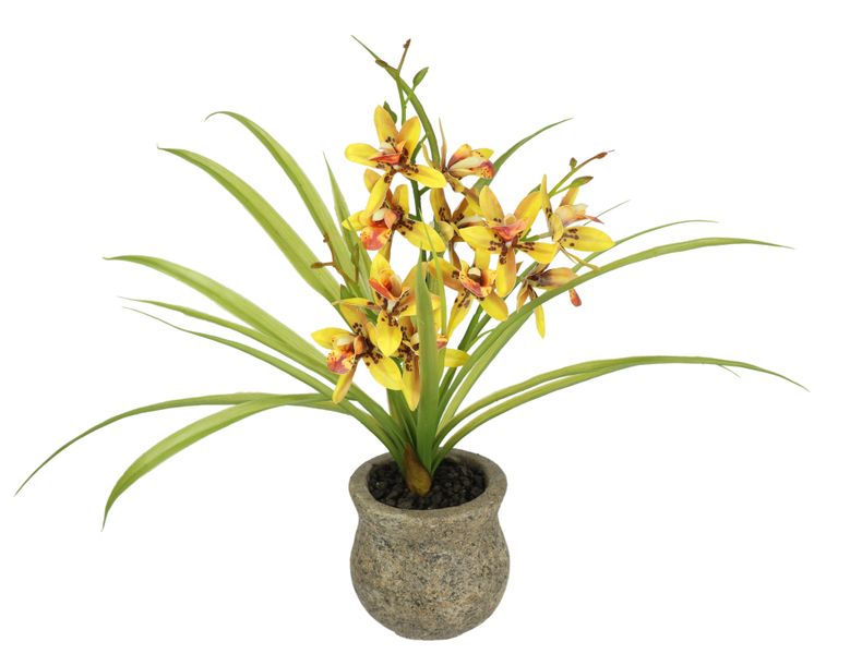 I.GE.A. Kunstblume "Kunstblume Schmetterling Orchidee mit Keramiktopf" Mit günstig online kaufen