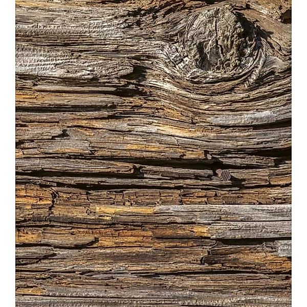 Fototapete TREE BARK  | MS-3-0159 | Braun | Digitaldruck auf Vliesträger günstig online kaufen