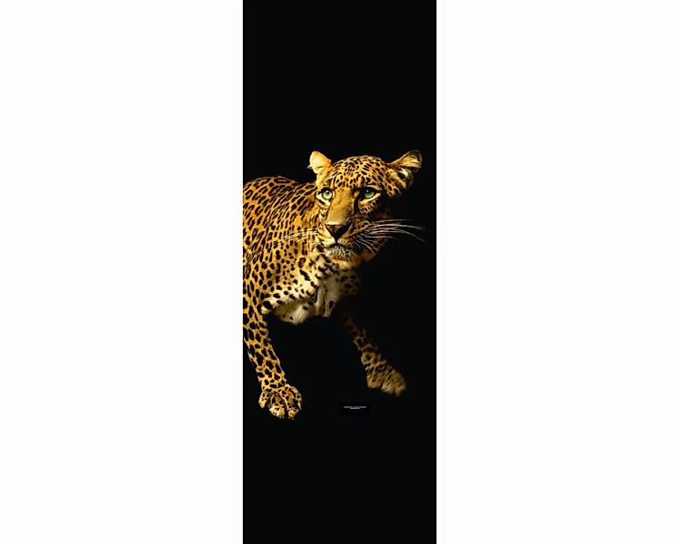 Dekopanel "Leopard" 1,00x2,80 m / Strukturvlies Klassik günstig online kaufen